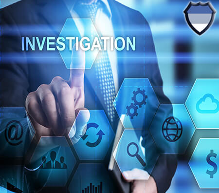 Background check investigation elements on a touch screen