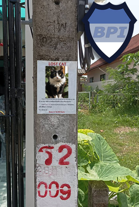 Poster for a lost cat on a concrete post